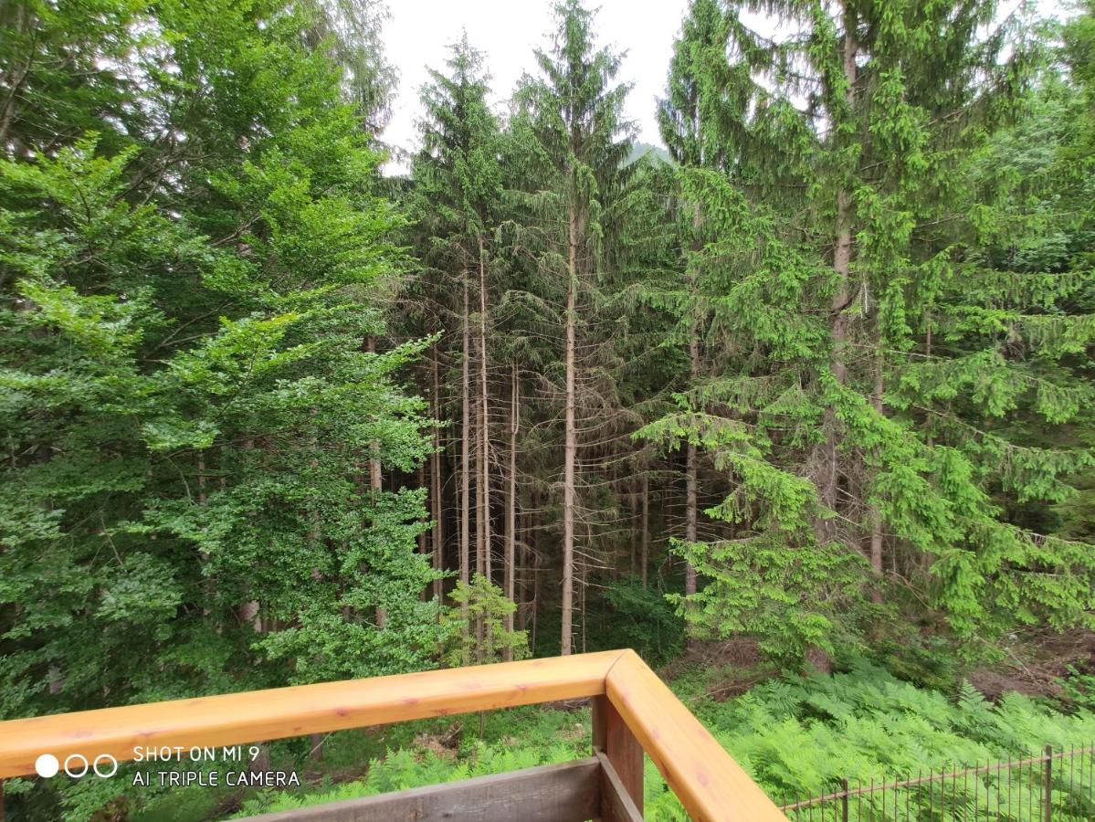 Chalet Ai Monti Di Zuclo - Tione Villa Тионе ди Тренто Екстериор снимка