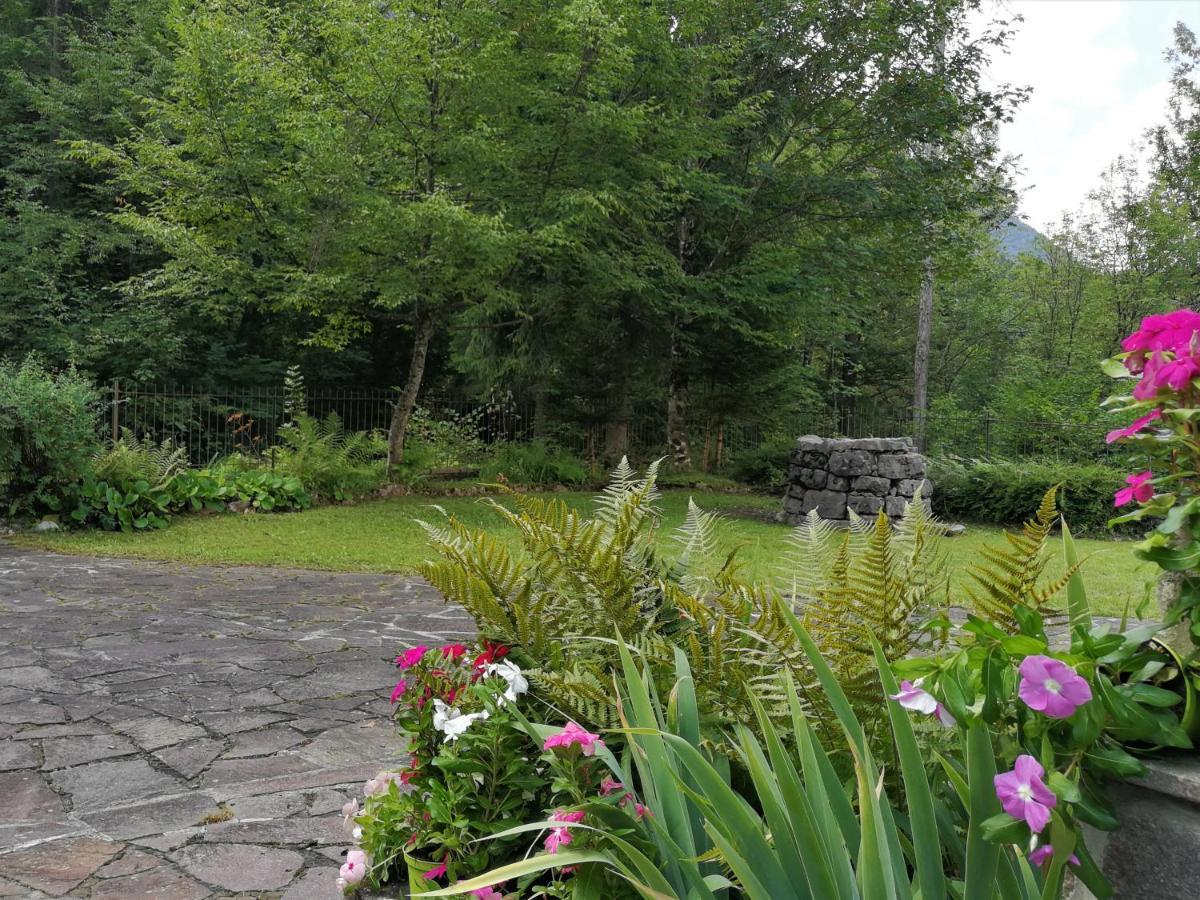 Chalet Ai Monti Di Zuclo - Tione Villa Тионе ди Тренто Екстериор снимка